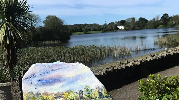 Just one example of the beautiful hand-painted stones at Dunmanway’s Lakeside Gardens.