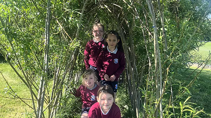 Marta Marchenko, Annie Casey, Ayla Buggy, and Ellie Hennick enjoying the lovely weather in the willow dome at Rath National School.