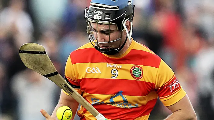 HURLING LEAGUE ROUND-UP: Newcestown stay top of Division 3, Bandon lead the way in Division 4 Image