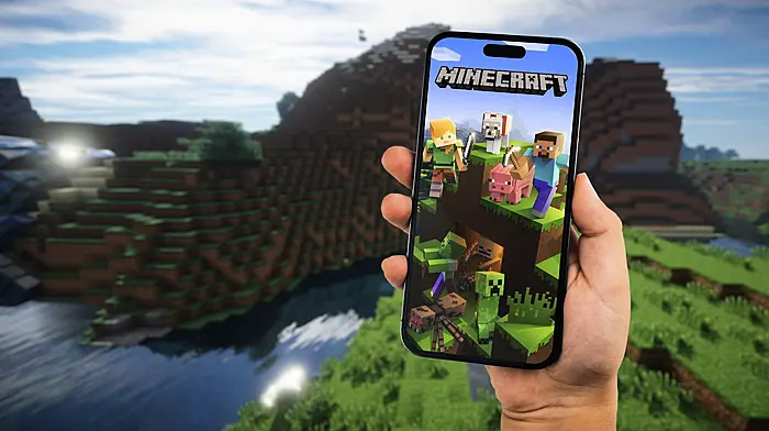 Skibbereen man mines the virtues of Minecraft Image