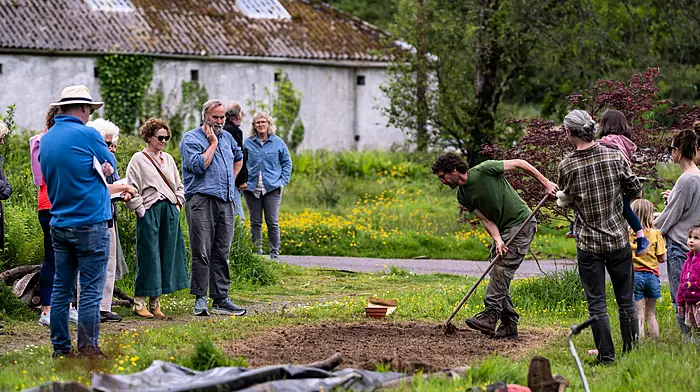 Local biodiversity to be celebrated in Leap festival Image