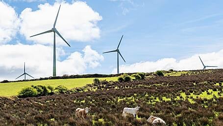 Increase in farm inspections welcomed by local councillors Image