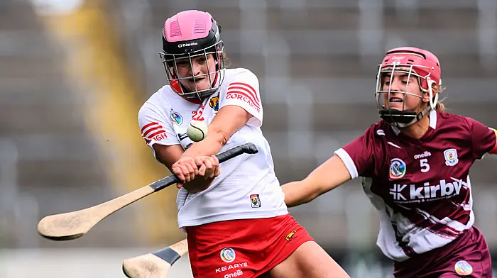 Special Congress vote to decide on the camogie skorts or shorts issue Image