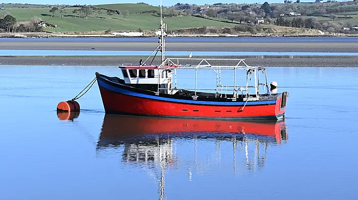 Reflections on a recent sunny morning in Courtmacsherry.   (Photo: Martin Walsh)