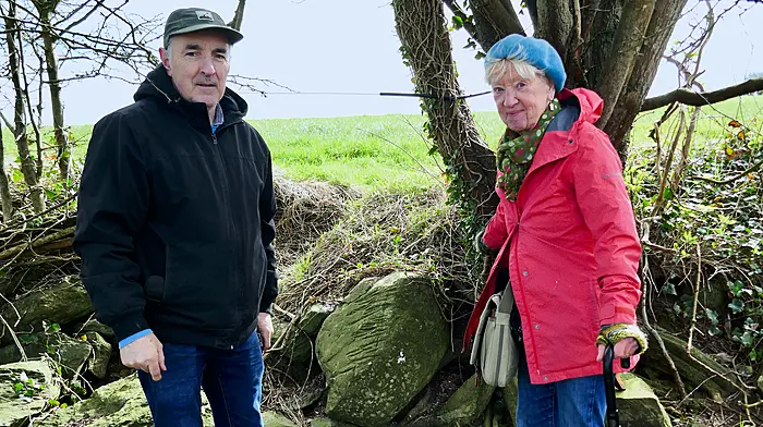 Strange stone uncovered on Inchydoney beach Image
