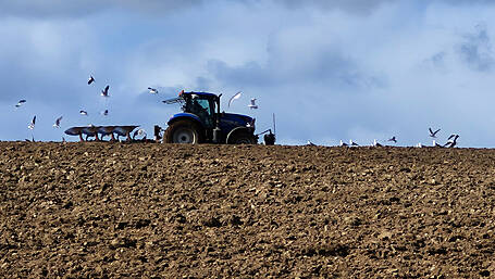 Reader’s Picture of the Week Image