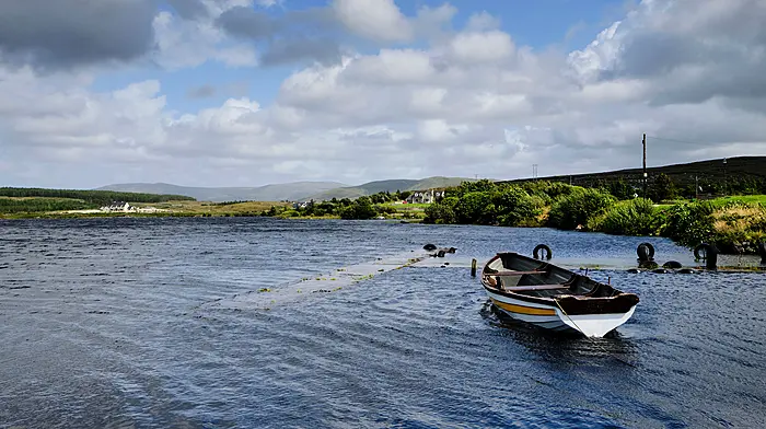 Teagasc appoints river catchment co-ordinators Image