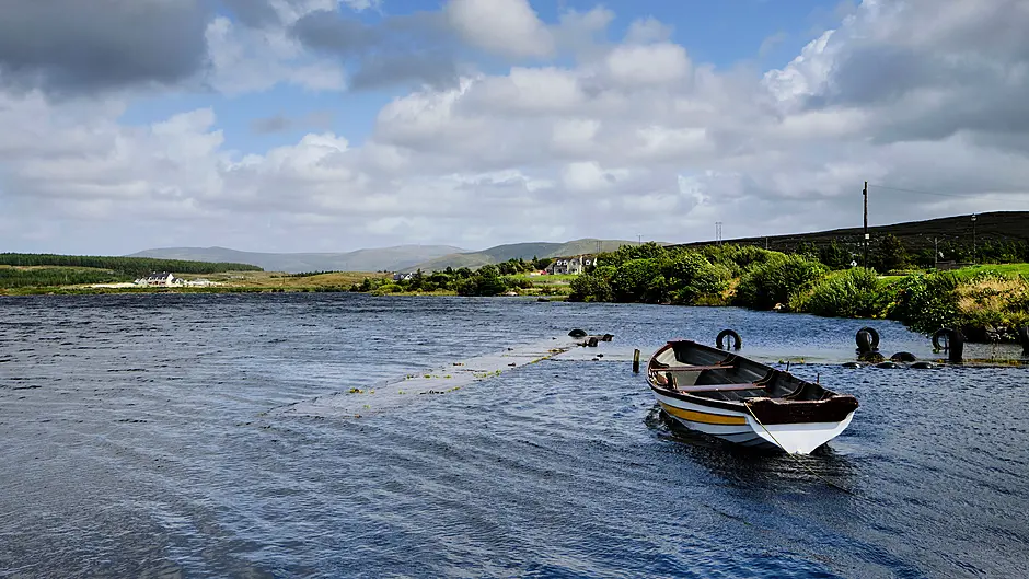 Teagasc appoints river catchment co-ordinators Image