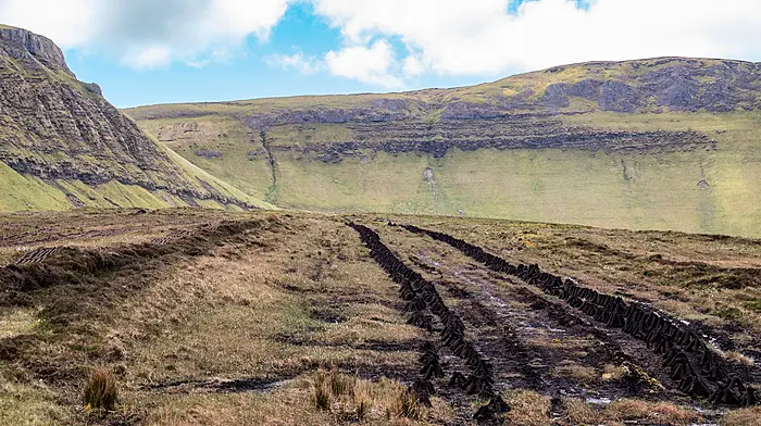 Competition watchdog approves sale of Bord na Móna Image