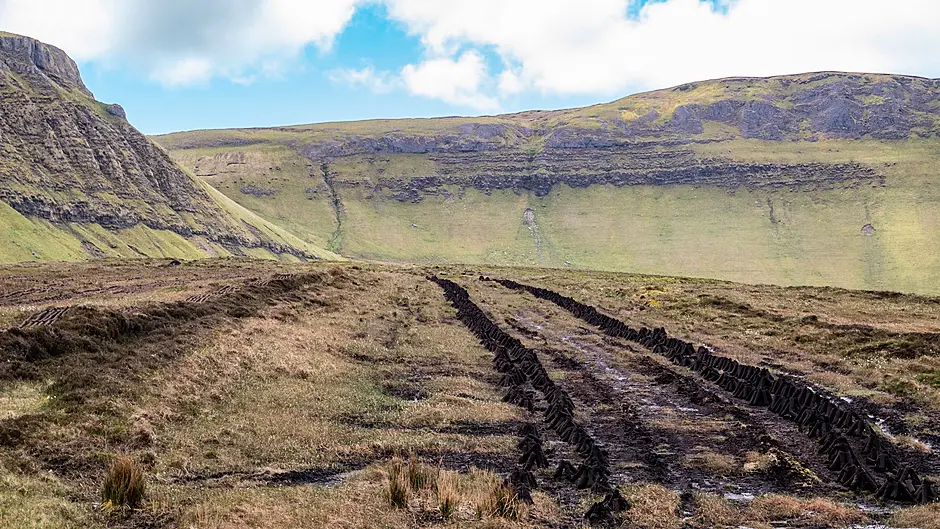Competition watchdog approves sale of Bord na Móna Image