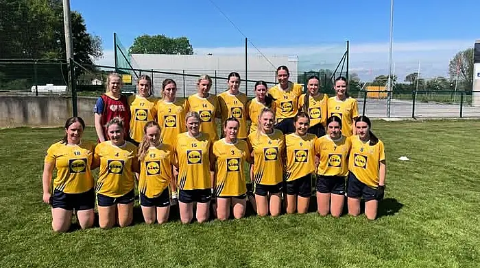 West Cork LGFA clubs battle for county league semi-final spots Image