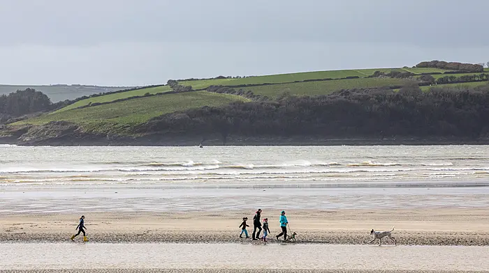 Do not swim notice issued for Coolmaine Beach Image