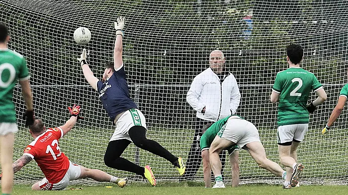 Thomas Hegarty goal seals victory after O'Donovan Rossa rally to beat Ballincollig in Division 2 Image