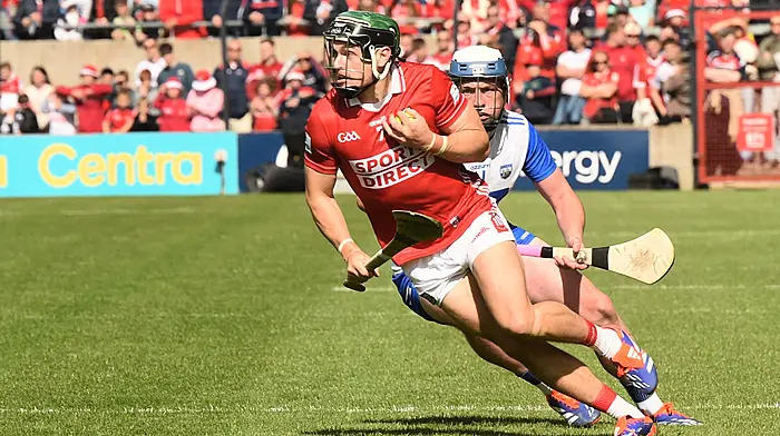 Pat Ryan backs Rebels to respond in Limerick rematch Image