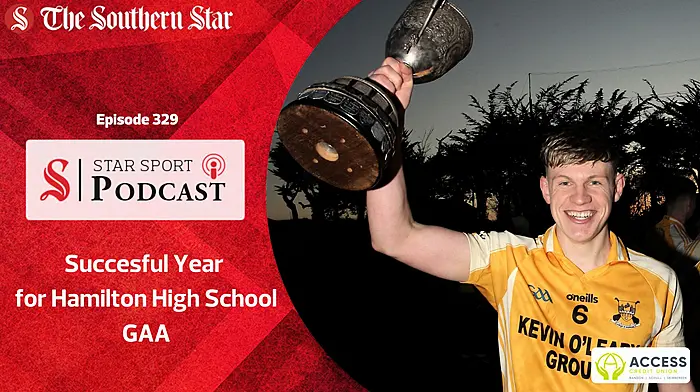 Successful year for Hamilton High School GAA Image