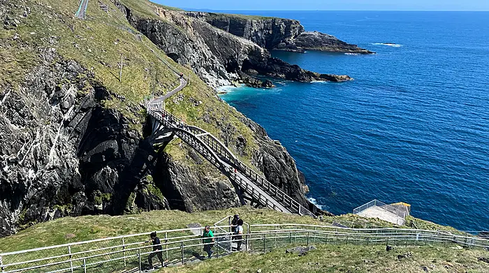 A gulls-eye view of Mizen Head Visitor Centre Image