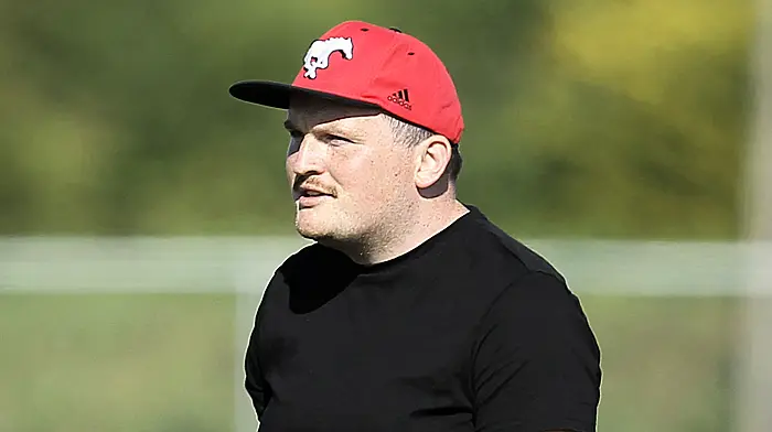 ‘It’s not a five-year job, it’s a whole generation,’ explains Gabriel Rangers hurling manager Image