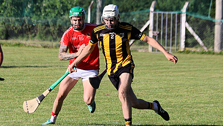 HURLING LEAGUE ROUND-UP: Newcestown hurlers suffer first league loss, Bandon close in on promotion Image