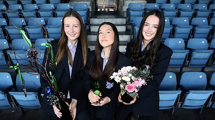 Bantry pupils among entrepreneur finalists Image