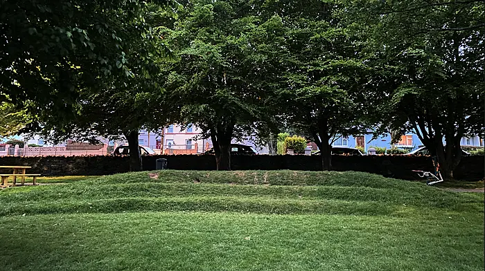 Planting for Clonakilty playground Image