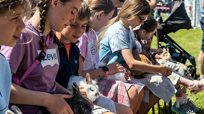 The annual Bandon Show took place today with thousands of people attending to see horse and cattle classes, along with poultry and arts & crafts competitions. There was also food stalls and a childrens fun fair. The children's petting farm was very popular. Picture: Andy Gibson.