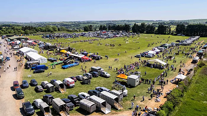 The annual Bandon Show took place today with thousands of people attending to see horse and cattle classes, along with poultry and arts & crafts competitions. There was also food stalls and a childrens fun fair. Picture: Andy Gibson.