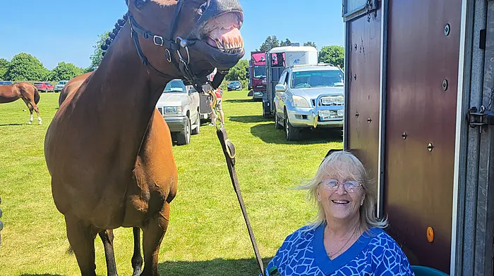 Susan McCarthy of Meelin Stud being wished a happy 70th birthday by Meramarr the horse at the Bandon Agricultural Show last Sunday.