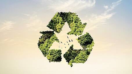 Skibbereen students creating a ‘Buzz’ around new eco gum innovation Image