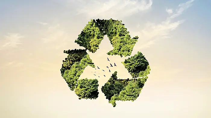 Skibbereen students creating a ‘Buzz’ around new eco gum innovation Image