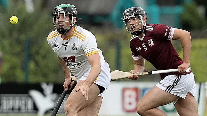 High-flying Bandon hurlers are going up to Division 3 after guaranteeing promotion Image