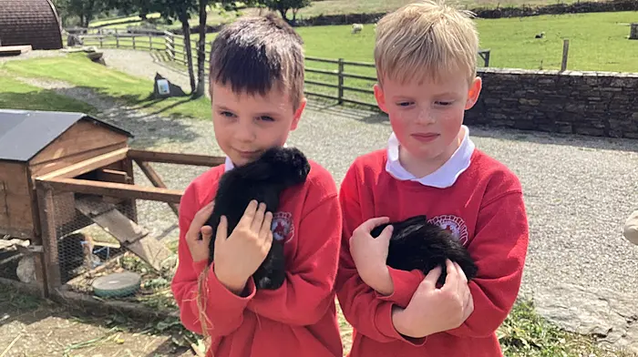 Wade Westwood and Theo Payne Lynch from St James’ National School with two happy bunnies at the Top of the Rock Pod Páirc in Drimoleague, where they enjoyed their school tour.