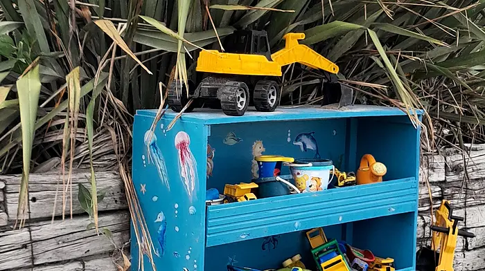 The new toy library at Dock Beach which was made by Con Hemi and facilitated by  Tess Dean.