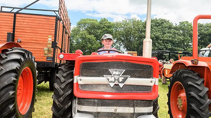 JT O'Driscoll, Kilbrittain, on a Massey Ferguson 135. (Photos: Michael Mac Sweeney & David Patterson)