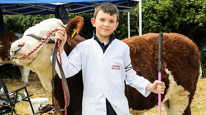 Gate closes on yet another successful Belgooly Show Image
