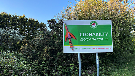 Plans for 246 houses in Clonakilty Image