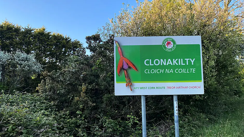 Plans for 246 houses in Clonakilty Image