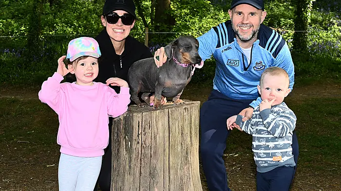 The Brown family, Polly, Finola, Tommy and Franky and their dog Oti, from Clonakilty in Courtmacsherry Woods. (Photo: Martin Walsh)
