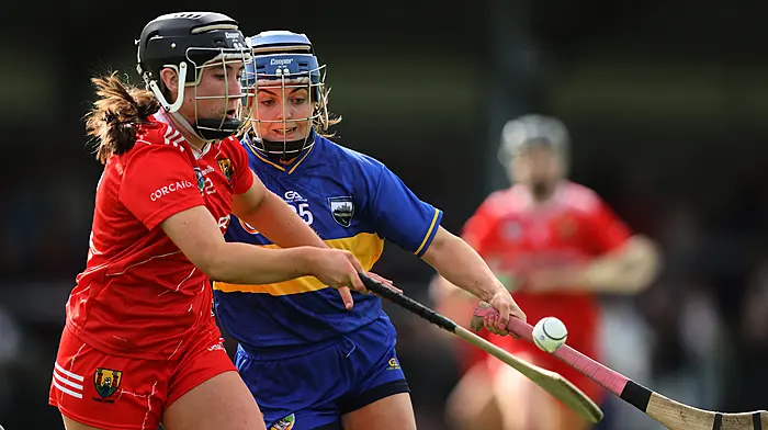 Ruthless Rebels fire warning sign after another dominant All-Ireland Group 1 victory Image