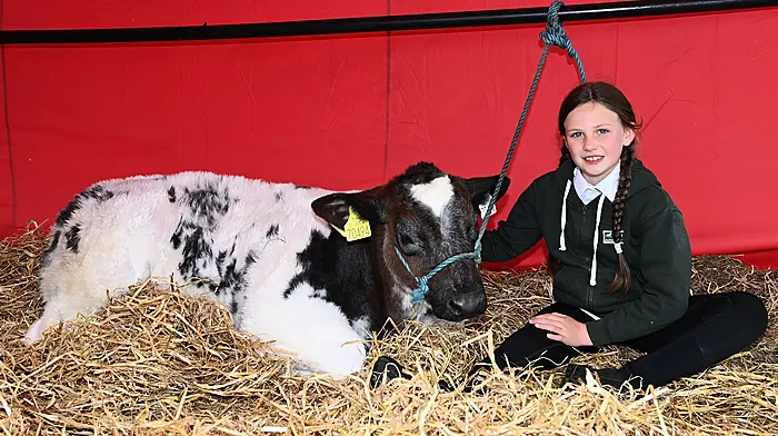 Ella O'Donovan, Dunmanway having a quiet moment with her four-month old calf \