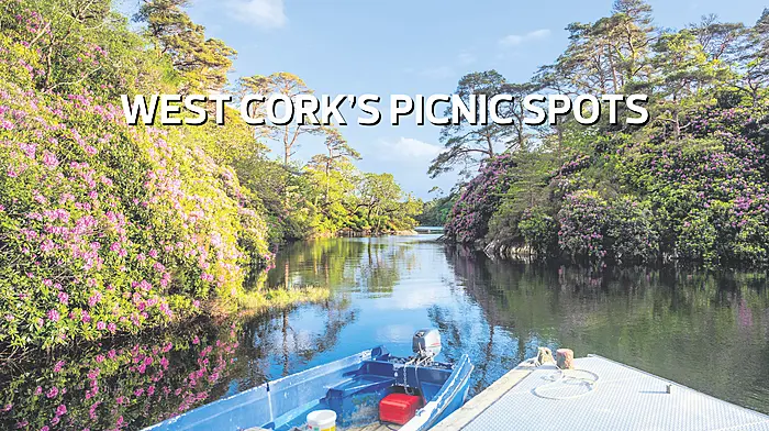 THINGS TO DO IN WEST CORK: West Cork's picnic spots Image