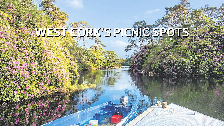 THINGS TO DO IN WEST CORK: West Cork's picnic spots Image