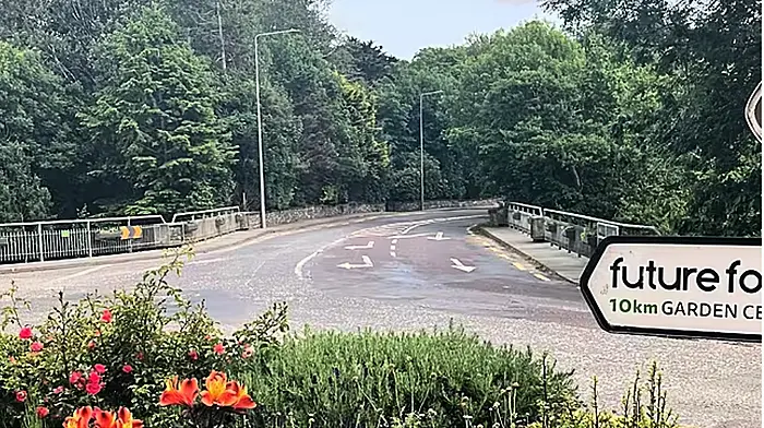 Dangerous Ballylickey junction to get €50,000 in funding Image