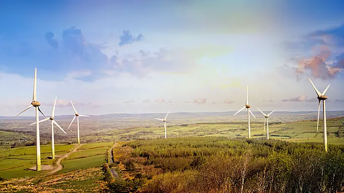 Cork named Ireland’s third most sustainable county Image