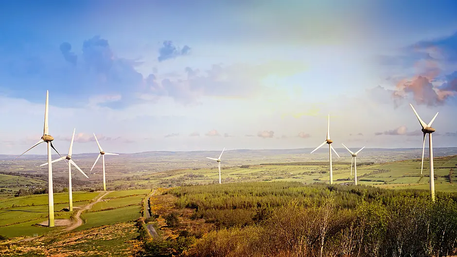 Cork named Ireland’s third most sustainable county Image