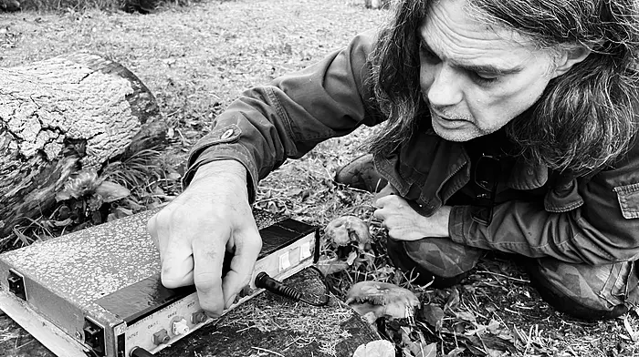 Music from the mushroom man Image