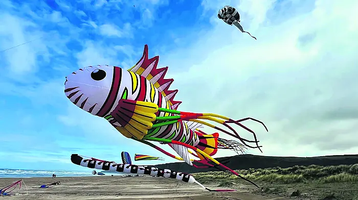Kinsale Arts Weekend 2025 Launches with a Wave of Wonder Image