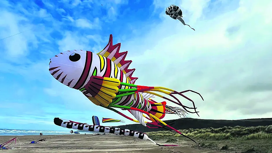 Kinsale Arts Weekend 2025 Launches with a Wave of Wonder Image