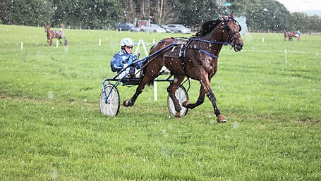 Schull driver Mike O’Mahony leads the way with two winners at Lyre Image