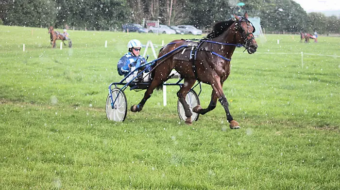Schull driver Mike O’Mahony leads the way with two winners at Lyre Image
