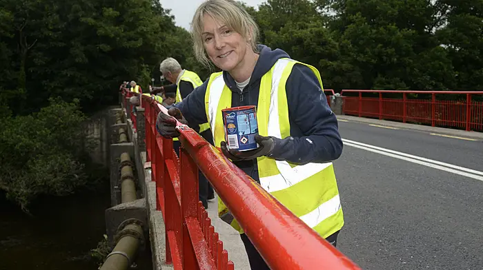 Deirdre Gilly hard at work with Innishannon Tidy Towns painting the bridge to give it a make-over ahead of the annual Gardens & Galleries festival. (Photo: Denis Boyle)